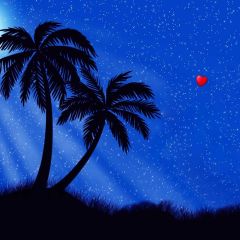 Night Palm Tree Heart Photography Scenery Backdrop Night Theme Banner BCE-453