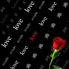 Love Rose Photography Scenery Backdrop Love Theme Banner BCE-455