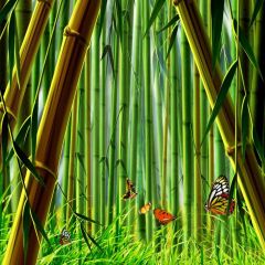 Leaves Animal Photography Scenery Backdrop Forest Theme Banner BCE-457
