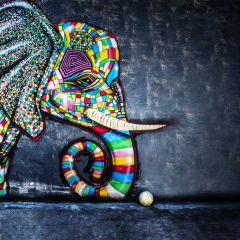 Graffiti Animal Photography Scenery Backdrop Graffiti Theme Banner BCE-458