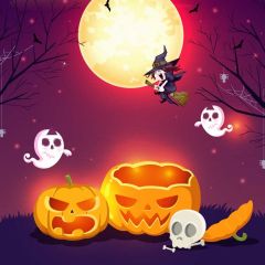 Halloween Broom Elf Photography Scenery Backdrop Halloween Theme Banner BCE-493
