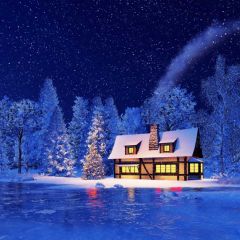 Snow Fir House Photography Scenery Backdrop Snow Theme Banner BCE-499