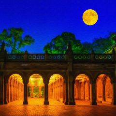 Moon Arch Pillar Photography Scenery Backdrop Arches or Pillars Theme Banner BCE-501