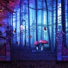 Forest Plant Gate Leaves Photography Scenery Backdrop Forest Theme Banner BCE-510