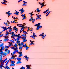 Birthday Animal Photography Scenery Backdrop Birthday Party Theme Banner BCE-519