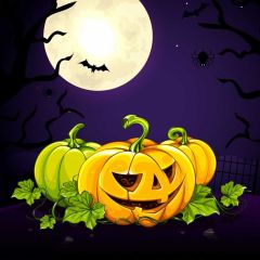 Halloween Pumpkin Lantern Photography Scenery Backdrop Halloween Theme Banner BCE-523