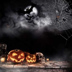 Halloween Pumpkin Photography Scenery Backdrop Halloween Theme Banner BCE-528