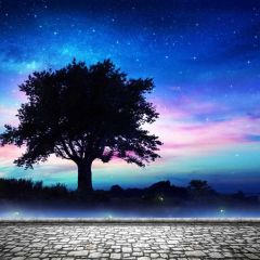 Tree Star Sky Photography Scenery Backdrop Forest Theme Banner BCE-538