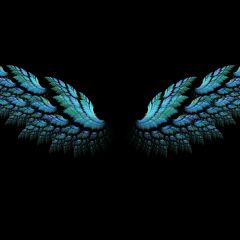 Night Plumage Photography Scenery Backdrop Night Theme Banner BCE-544