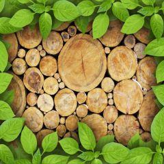 Plant Tree Gear Photography Scenery Backdrop Forest Theme Banner BCE-548