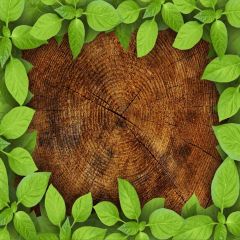 Tree Ring Leaves Photography Scenery Backdrop Forest Theme Banner BCE-550