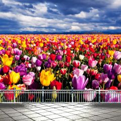 Flower Rail Floor Photography Scenery Backdrop Flowers Theme Banner BCE-556