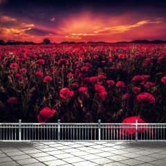 Flower Sunset Rail Photography Scenery Backdrop Flowers Theme Banner BCE-561