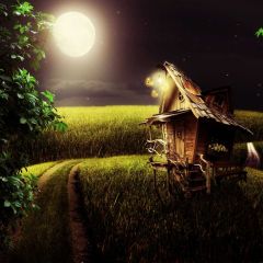 Grassland Shack Light Photography Scenery Backdrop Forest Theme Banner BCE-562