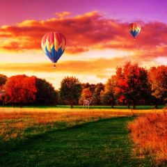 Balloon Tree Animal Grass Photography Scenery Backdrop Forest Theme Banner BCE-566