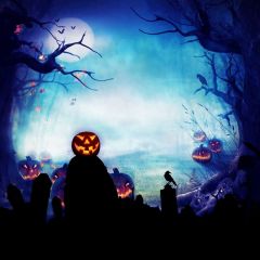 Halloween Pumpkin Dark Photography Scenery Backdrop Halloween Theme Banner BCE-569