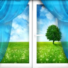 Tree Grass Window Photography Scenery Backdrop Forest Theme Banner BCE-570