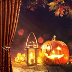 Pumpkin Lantern Maple Photography Scenery Backdrop Halloween Theme Banner BCE-577