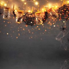 Spider Bats Cobweb Photography Scenery Backdrop Halloween Theme Banner BCE-578