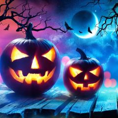 Fullmoon Pumpkin Lantern Floor Branch Photography Scenery Backdrop Halloween Theme Banner BCE-579