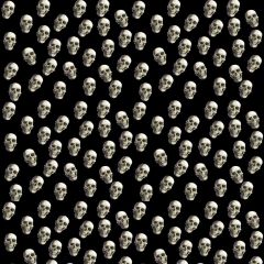 Skull Halloween Photography Scenery Backdrop Halloween Theme Banner BCE-581