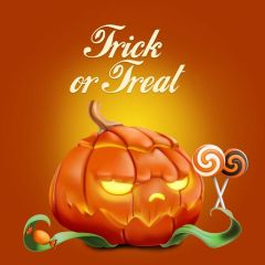 Trick And Treat Pumpkin Lantern Photography Scenery Backdrop Halloween Theme Banner BCE-582