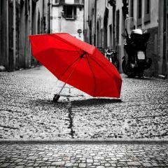 Floor Umbrella Motor Photography Scenery Backdrop Nature Theme Banner BCE-588