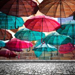 Umbrella Brick Wall Photography Scenery Backdrop Nature Theme Banner BCE-590