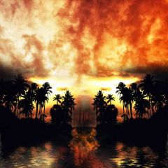 Woods Light River Photography Scenery Backdrop Forest Theme Banner BCE-592