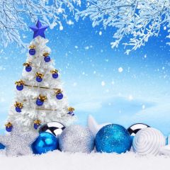 Christmas Ball Snow Branch Photography Scenery Backdrop Christmas Theme Banner BCE-594