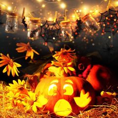 Pumpkin Lantern Light Bottle Photography Scenery Backdrop Halloween Theme Banner BCE-600