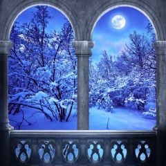 Pillars Snow Cedar Photography Scenery Backdrop Arches or Pillars Theme Banner BCE-612