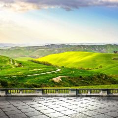 Meadow Rail Floor Photography Scenery Backdrop Nature Theme Banner BCE-613