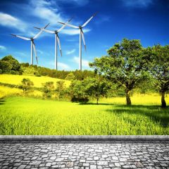 Plant Windmill Grass Photography Scenery Backdrop Forest Theme Banner BCE-614