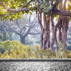 Tree Branches Grass Photography Scenery Backdrop Forest Theme Banner BCE-615