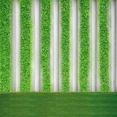 Grass Nature Green Photography Scenery Backdrop Nature Theme Banner BCE-630