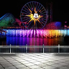 Circus Disney Cartoon Animal Photography Scenery Backdrop Circus Show Theme Banner BCE-631