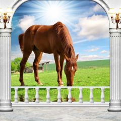 Pillars Grassland Animal Photography Scenery Backdrop Arches or Pillars Theme Banner BCE-635