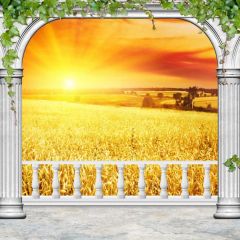 Pillars Sunlight Leaves Photography Scenery Backdrop Arches or Pillars Theme Banner BCE-636