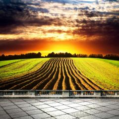 Nature Landscape Crop Rail Photography Scenery Backdrop Nature Theme Banner BCE-641