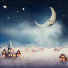 Night Moon House Star Photography Scenery Backdrop Night Theme Banner BCE-651
