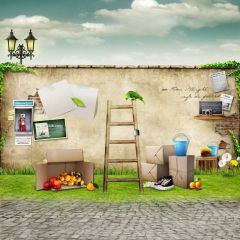 Ladder Grass Wall Bird Photography Scenery Backdrop Wall Theme Banner BCE-652