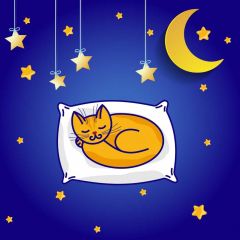 Sleepy Animal New Moon Stars Photography Scenery Backdrop Cartoon Theme Banner BCE-662