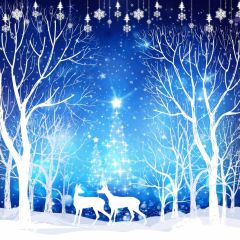 Snow Tree Deer Photography Scenery Backdrop Snow Theme Banner BCE-670