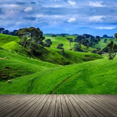 Grassland Tree Floor Photography Scenery Backdrop Nature Theme Banner BCE-672