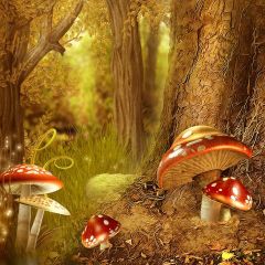 Lush Forest Mushroom Grass Photography Scenery Backdrop Nature Theme Banner BCE-688