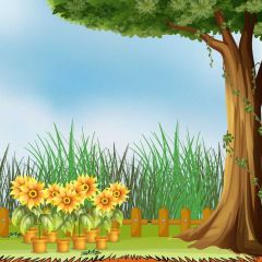 Birch Tree Blossom Photography Scenery Backdrop Forest Theme Banner BCE-695