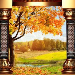 Stream Birch Arch Photography Scenery Backdrop Nature Theme Banner BCE-702