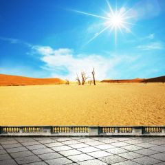 Desert Landscape Sunlight Photography Scenery Backdrop Desert Landscape Theme Banner BCE-705