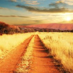Path Sunfall Grass Photography Scenery Backdrop Road Theme Banner BCE-706